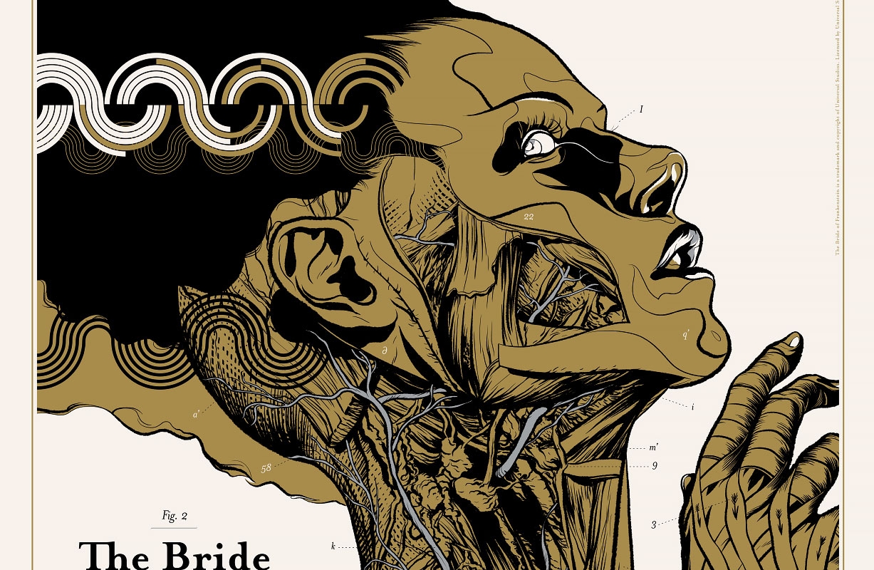 http://www.martinansin.com/files/gimgs/th-50_Bride-Of-Frankenstein---02.jpg